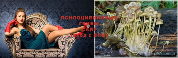 ешки Алексин