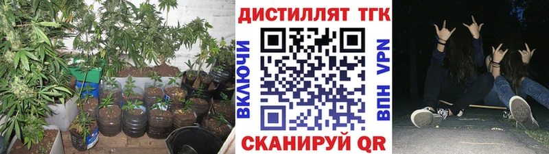 Дистиллят ТГК концентрат  Хадыженск 