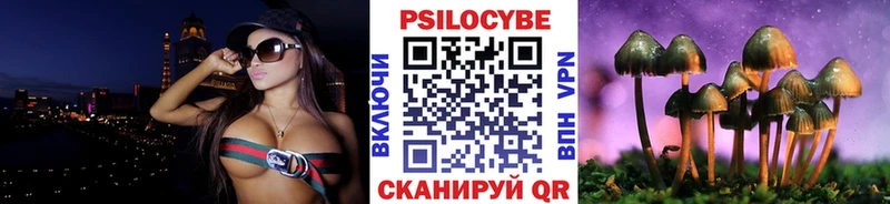 наркошоп  Хадыженск  Галлюциногенные грибы Psilocybe 